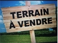 Terrain à la vente